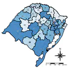Availability of Hospital Beds in RS - Brazil